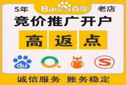 SEM竞价优化技巧分享：成功案例揭秘